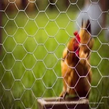 Jardín de casas pollo hexagonal alambre de alambre valla